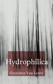 Gretchen Van Lente Hydrophilica
